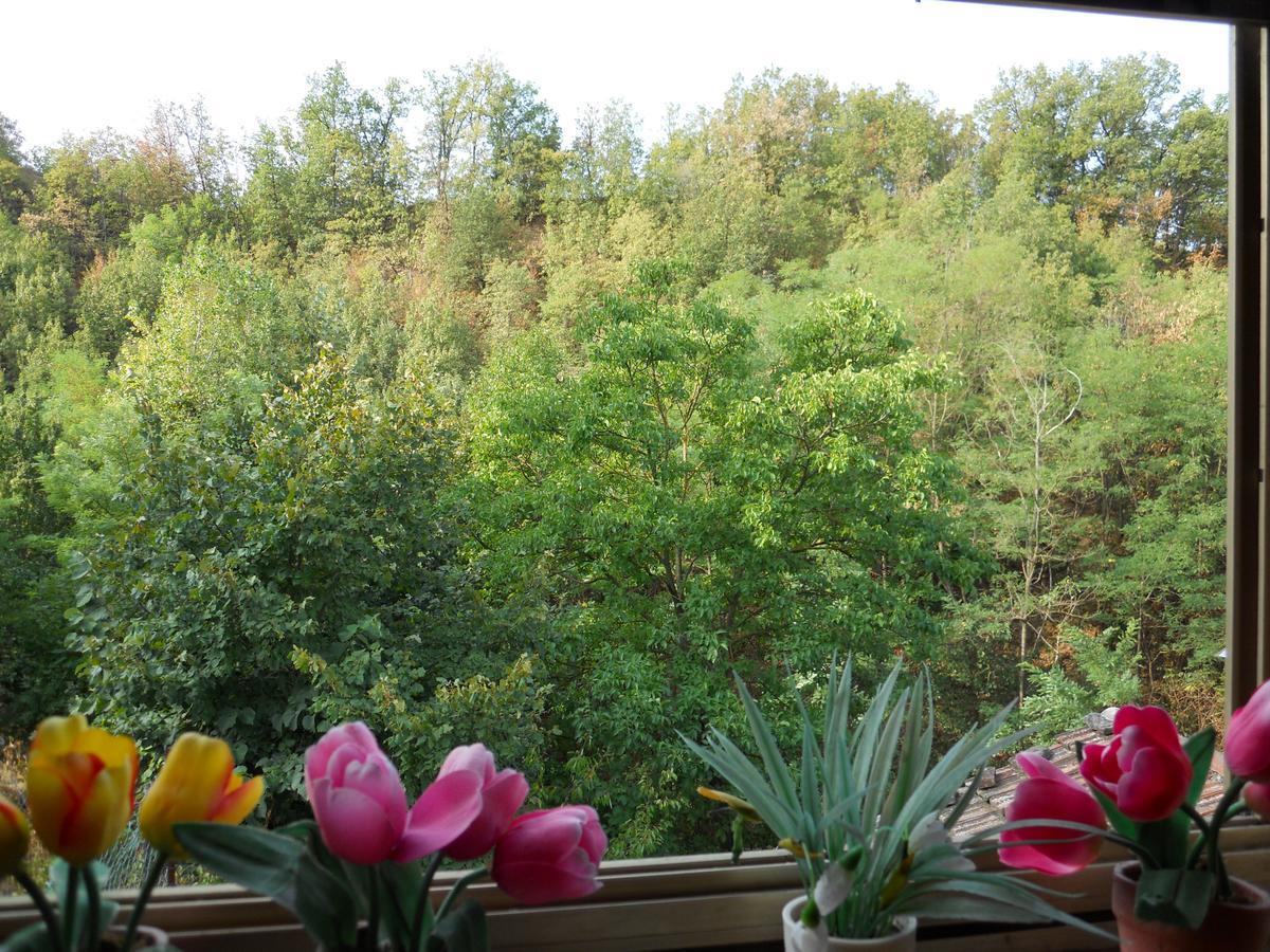 Casa Clotilde Bed and Breakfast Stazzano Buitenkant foto